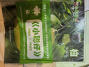 7-8月现货 小聪仔自然科普版杂志全年订阅送好礼 2~8岁幼儿益智科普 儿童智力开发增长知识 自然动物科普 半年/全年订阅2024年/2025年1月-6月/7月-12月任选杂志铺非过期刊 【下半年订阅 实拍图