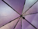 天堂伞 全自动雨伞男女加大号加固防风商务伞三折自开收晴雨两用广告伞 3331E-紫色 8骨 实拍图