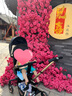 丸丫T6-2遛娃神器婴儿推车可坐可躺轻便折叠双向白金系列黑金骑士PLUS 实拍图
