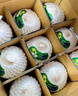 佳沃泰国进口椰青香水椰子 6个装 中果800g+ 新鲜水果 源头直发 实拍图