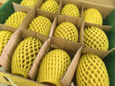 佳沛（zespri）新西兰 阳光金奇异果12粒礼盒特大果单果约122-146g 猕猴桃 水果 实拍图