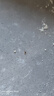 雷灭速蚂蚁药一窝端杀蚂蚁特效药家用室内外灭杀全窝连环杀蚁饵剂呋虫胺 实拍图