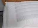 然牌 荞麦枕 护颈枕五星级酒店枕软硬两用枕全棉 单只装48x74cm 实拍图