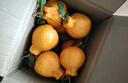 生活＆好管家四川丑橘不知火特大果新鲜水果桔橘子丑柑丑八怪整箱 4.5-5斤【超划算】净重4.5斤 果径65-70mm【小果】 实拍图