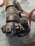 佳能（Canon）EOS R6 Mark II R6二代 新标准全画幅微单相机R62 L级24-105标准镜头套装 实拍图