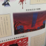 如果历史是一群喵11·南宋金元篇 假如历史是一群喵 正版 历史是一群喵 肥志历史科普漫画书 小学生儿童漫画趣味中国史成吉思汗绘本动漫 第15册大清风云篇  实拍图