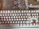 Noppoo有线机械键盘单模 高颜值女生可爱办公电竞游戏104客制化机械键盘 【面包小熊键盘】茶轴-有线版 实拍图