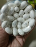 康恩贝钙D软胶囊200粒*2瓶礼盒装钙维生素d中老年成人送长辈礼盒端午节 实拍图
