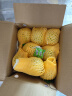 京鲜生 软糯奶油白心芭乐 净重3斤装单果150g+ 番石榴 端午源头直发包邮 实拍图