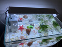 燕之雁 鱼缸led水草灯 三档变色照明观赏灯 增艳灯 适合38-50cm鱼缸 10W 实拍图