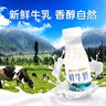 天润（TERUN）新疆产地鲜牛奶 3.8g优质蛋白 巴氏杀菌鲜奶 低温奶  210g*6瓶 实拍图