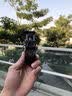齐论全自动自拍杆跟拍云台360度旋转手持手机拍摄防抖神器直播瑜伽AI人脸智能跟踪三脚架便携式旅游 变焦三合一自拍杆 实拍图