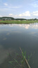 曼牌（MANNFILTER）机油滤清器油滤芯W712/90M/W7158高尔夫宝来朗逸POLO明锐途安迈腾 实拍图