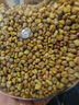 陈一凡 婺源皇菊30g 菊花茶金蕊皇菊贡菊搭枸杞金银花决明子花草茶茶叶 实拍图