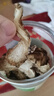 康美当归100g 中药饮片药典标准 当归无硫中药材 补血活血调经止痛润肠通便 缓解月经不调经闭痛经 炖汤泡酒 实拍图