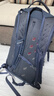 GREGORY格里高利 NANO蜂鸟 旅行男女户外徒步背包登山包通勤双肩包20L 20L-火花蓝（25年新款） 实拍图