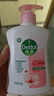 滴露（Dettol）洗手液滋润250g 儿童洗手液抑菌消毒宝宝 水润补充装尝鲜 实拍图