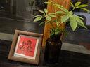 尚烤佳（Suncojia） 无烟烧烤木炭 竹炭  烧烤炉烧烤木碳 条形空心炭 取暖火锅炭 5斤 实拍图