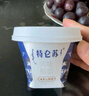 蒙牛（MENGNIU） 低温生鲜风味酸奶 特仑苏原味125g*12杯 实拍图