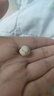 春江月鹰嘴豆500g独立小包装原味无油坚果炒货香酥烤熟豆即食小零食豆子 实拍图