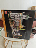 乐高（LEGO）积木拼装玩具 ICONS系列 10316指环王幽谷瑞文戴尔18岁+生日礼物 实拍图
