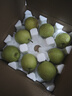 京鲜生 河北青翠蜜梨 净重4.5斤 单果250g+ 青皇冠梨 生鲜水果 源头直发 实拍图