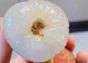京鲜生 海南妃子笑荔枝 净重3斤装 单果18g起 新鲜水果 源头直发包邮 实拍图