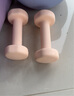 Keep 彩色浸塑哑铃 男女家用家庭健身肌肉塑形手臂轻重量樱粉 1kg*2 实拍图