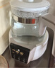 小白熊SnowBear恒温水壶婴儿调奶器奶瓶冲泡奶粉热水壶温奶器1.2L烧水壶 0857 实拍图