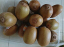 佳沛（zespri）新西兰  金果18粒猕猴桃礼盒优选果单果101-124g 端午节水果礼盒 实拍图