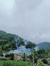 京东京造极地花卫生湿巾80片*6包 99.9%杀菌湿纸巾 加大加厚医护级湿巾纸 实拍图