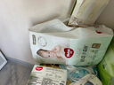 好奇（Huggies）心钻装小森林纸尿裤M50片(6-11kg)中号尿不湿透气夏季超薄 实拍图
