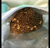 麦富迪狗粮 藻趣儿肉松海苔狗粮成犬粮呵护关节 2kg 实拍图