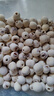 绿帝 磨皮莲子 山珍干货 去心无心 通心 白莲子500g 实拍图