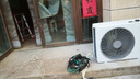 小米（MI）米家 3匹 新一级能效 巨省电 大挂机 变频冷暖 智能互联72GW-NA30/N1A1【国家补贴20%】 实拍图