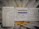 Thermalright(利民) TF9(1.5g)(散热配件/CPU散热膏/1.5g装/导热系数14/笔记本导热膏/附带利民刮刀) 实拍图