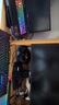 雷蛇（Razer）黑寡妇蜘蛛V4专业版 机械键盘 游戏键盘 RGB背光 游戏电竞 绿轴 带RGB腕托 实拍图