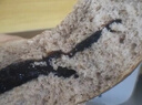 碧翠园全麦面包欧包低脂面包早餐粗粮代餐健身休闲零食6种口味混合1000g 实拍图