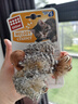贵为（GiGwi）仿真发声小鸟逗猫玩具小猫咪幼猫自嗨解闷神器逗猫棒 实拍图