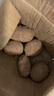 【真便宜】云南红皮土豆高原黄心土豆云南土豆新鲜红皮黄心洋芋 3斤大果【单果150g+】 实拍图