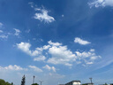 美的（Midea）【幸运草安睡风扇1S】一级能效直流变频声控电风扇家用遥控卧室静音落地扇台式桌面抗菌大风力电扇 实拍图