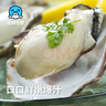 海鲜世家韩国冷冻生蚝肉430g 17-27只 牡蛎肉 火锅烧烤食材海鲜生鲜 实拍图