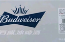 百威啤酒冰啤酒500ml*18听+淡色拉格450ml*3听组合装  实拍图