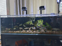 水医生硝化细菌鱼缸水族箱稳除氯气清澈剂净水分解粪便消化用品 鱼缸净水剂1000ml 实拍图