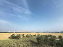 欧普（OPPLE）led触控调光充电夹子台灯大学生床头卧室宿舍床头灯儿童家用 小雅 实拍图