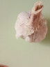 紫皮大蒜2025新干大蒜头年当季整箱新鲜蔬菜头批发红皮 净重4.5斤(果径3.5cm+) 实拍图