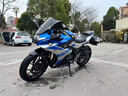 李绅二手铃木GSX250R铃木小小R电喷水冷双缸高配ABS跑车赛车摩托车 周年纪念版画 实拍图