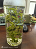 草木方花草茶 小叶苦丁茶250g 特级2025新茶嫩芽四川峨眉山头采明前茶叶 实拍图