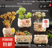 花盆绿植盆栽大口径拼盘多肉陶瓷素烧透气粗陶桌面绿植手绘小花盆 SK阳光花朵组合5个 【看图标注】 实拍图