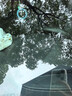 法雷奥无骨雨刷器/雨刮器/静音胶条雨刮片【1对装】 适用99%车型 下单留言车型+年款 实拍图